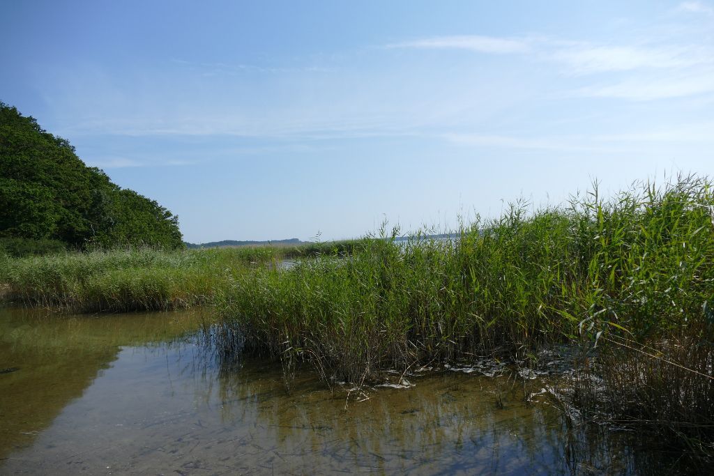 Hintergrund auf der Insel Rügen