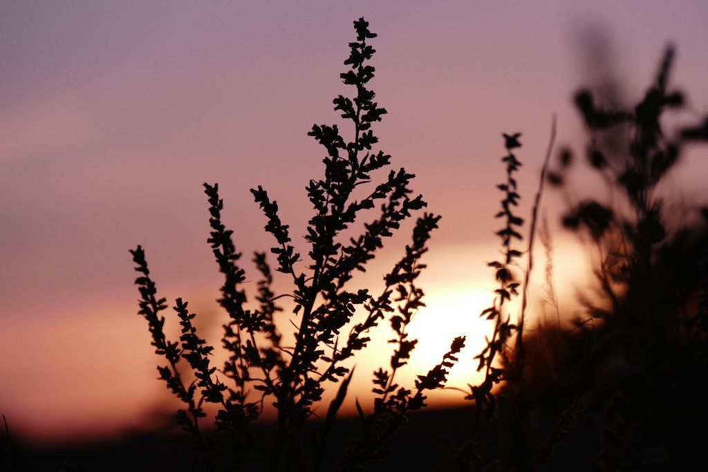 Sonnenuntergang auf der Insel Rügen